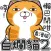 白爛貓2 (復刻版HK)